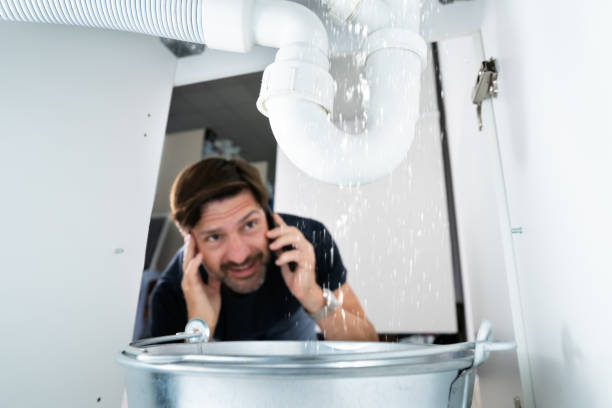 Best Drain Cleaning Services  in Ara, AL